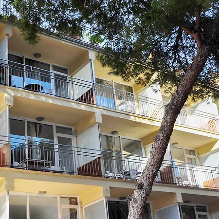 New Kensington - Econotels Magaluf (Mallorca)